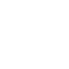 Wood Injury Law Noise Image